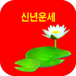 ������ ������� �ų⹫�����